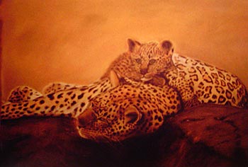 Jaffredo&nbsp;Christine - Le Repos