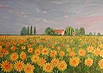   - Champ de tournesols a Ouvrouer